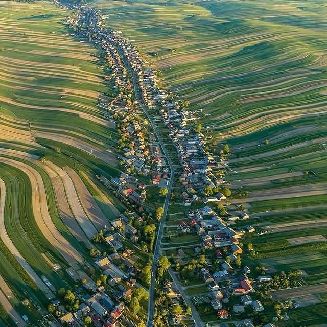  ......fervor   'recent posts' 