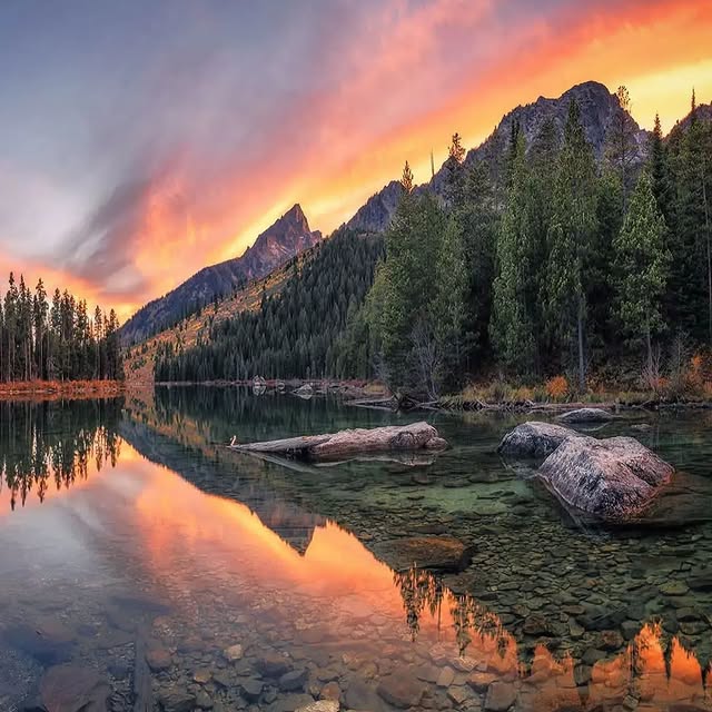  ........e.america   'recent posts' 