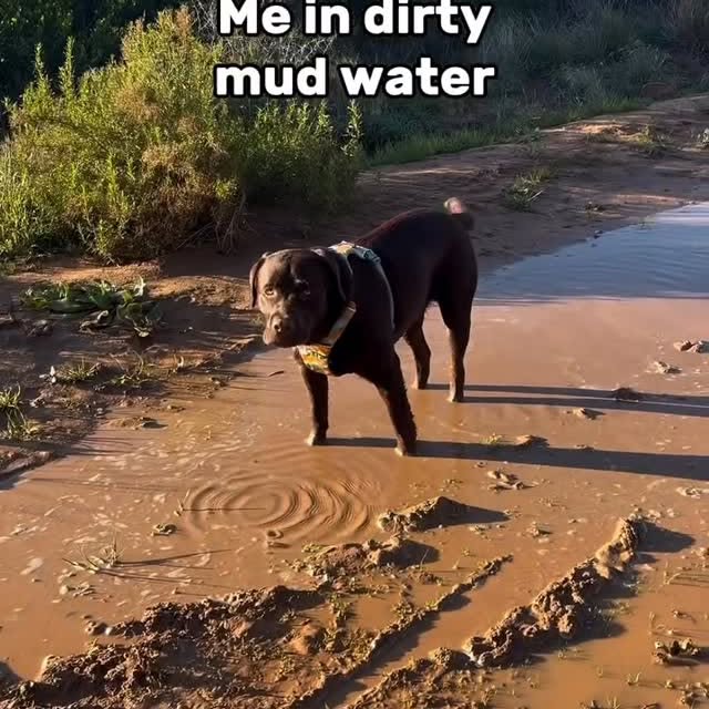  .......r_class   'recent posts' 