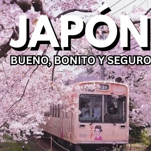  .......peligro   'recent posts' 