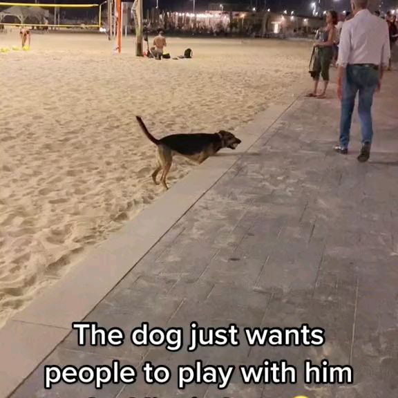  ....ofk9   'recent posts' 