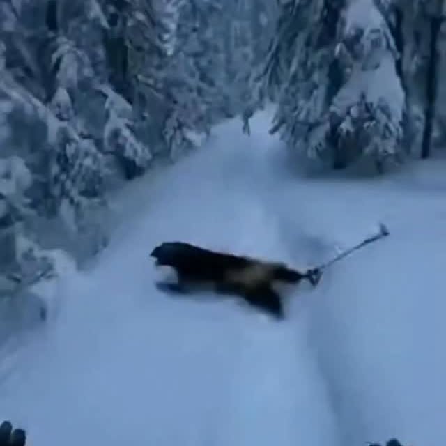  .......xplores   'recent posts' 