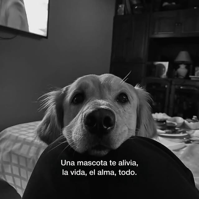  ......oencafe   'recent posts' 