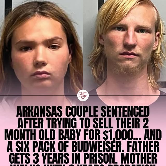  .....vid.s   'recent posts' 