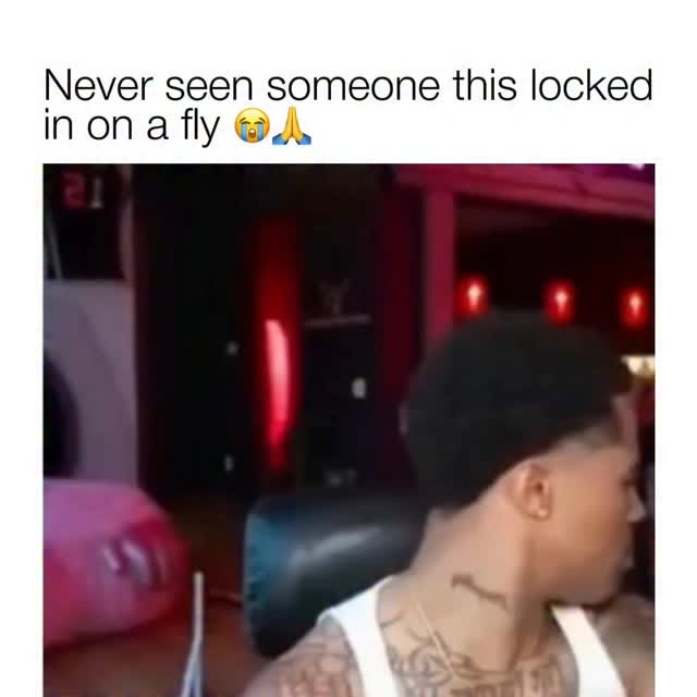  .......ofclips   'recent posts' 