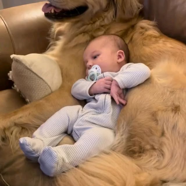  .......page_   'recent posts' 