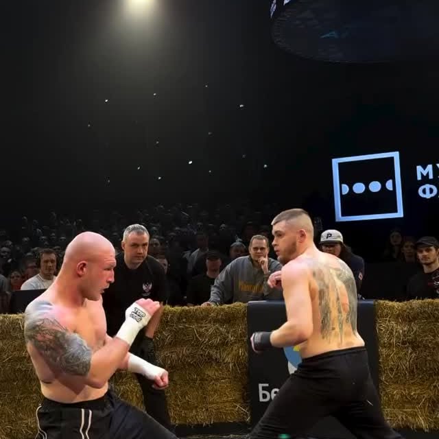  ...sado   'recent posts' 