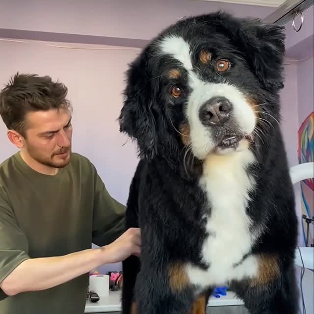  ........malsgram   'recent posts' 