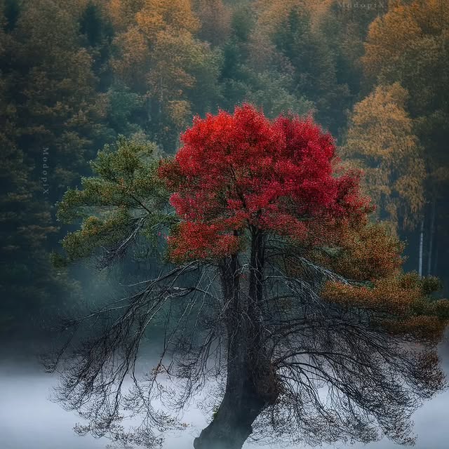  .....ature   'recent posts' 