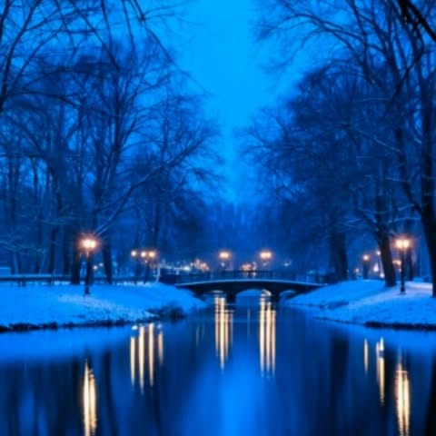  ......dreame   'recent posts' 