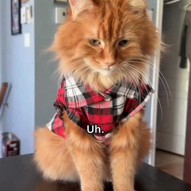  .........tofficial   'recent posts' 