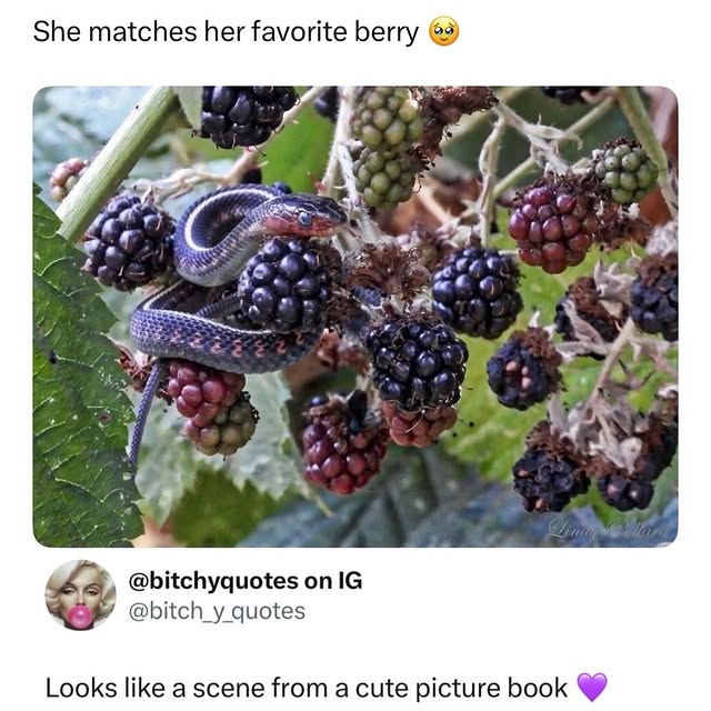  ........rmedshow   'recent posts' 