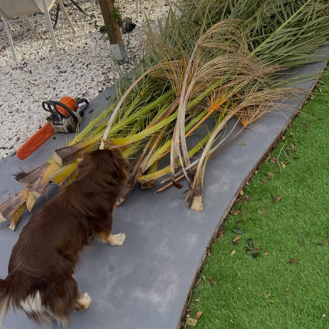  .....og2020   'recent posts' 