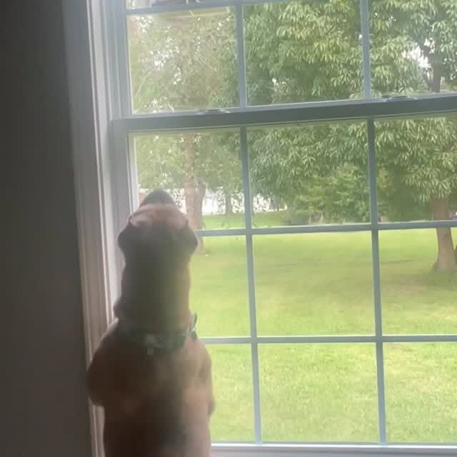  ......i.world   'recent posts' 