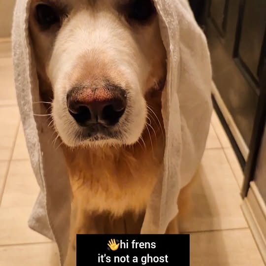  ..ps   'recent posts' 