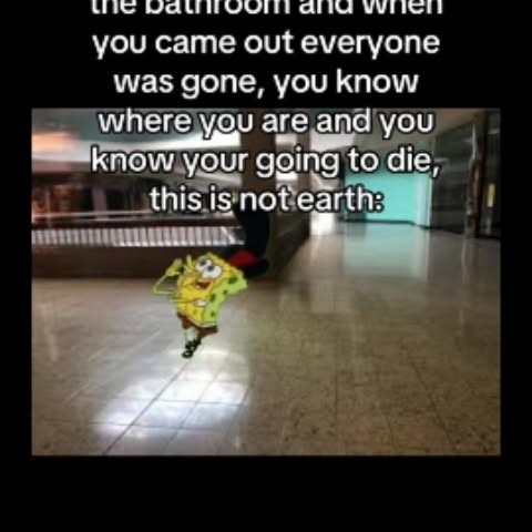  .......msvideos   'recent posts' 