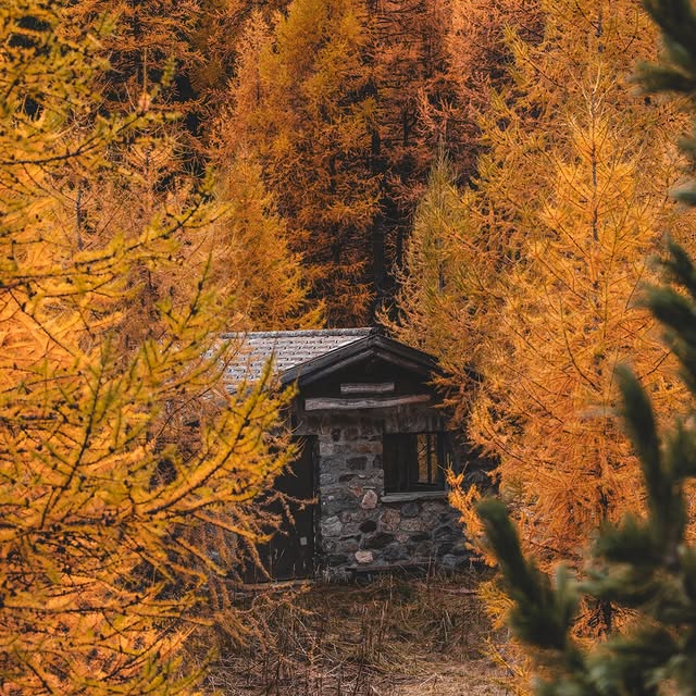  .......avelbook   'recent posts' 