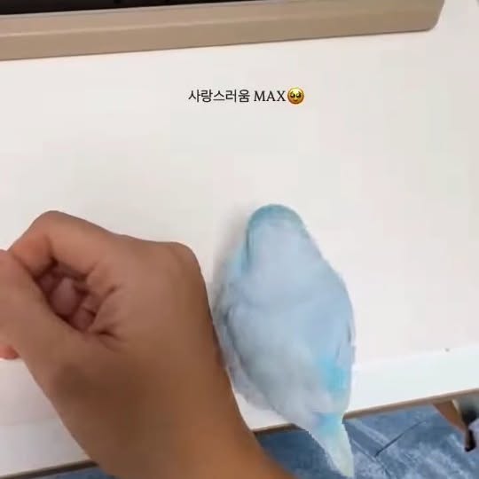  ........vacations   'recent posts' 