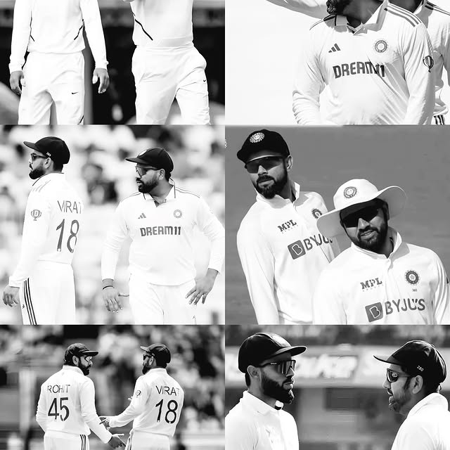  ....._memes   'recent posts' 