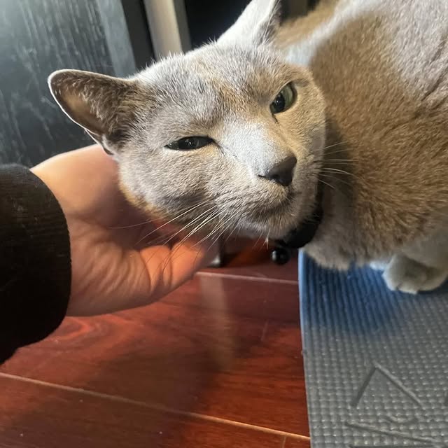  ......n_boris   'recent posts' 