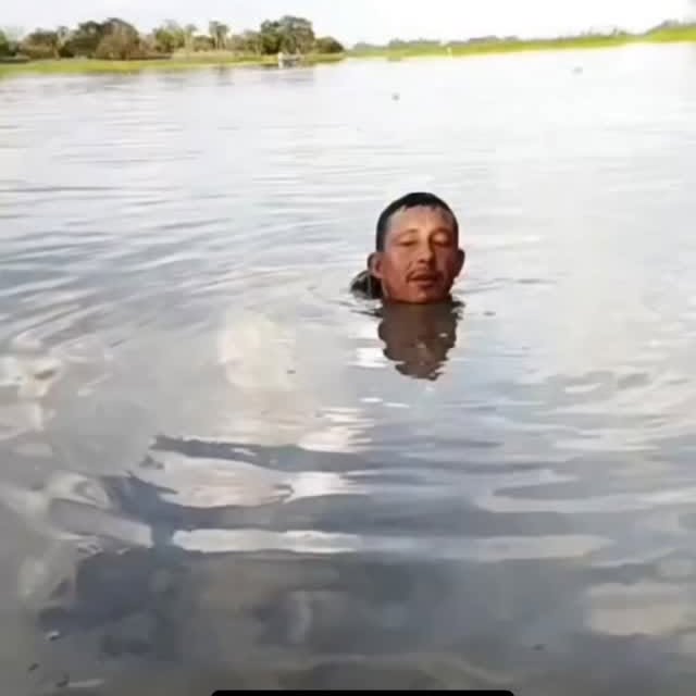  .....memes   'recent posts' 