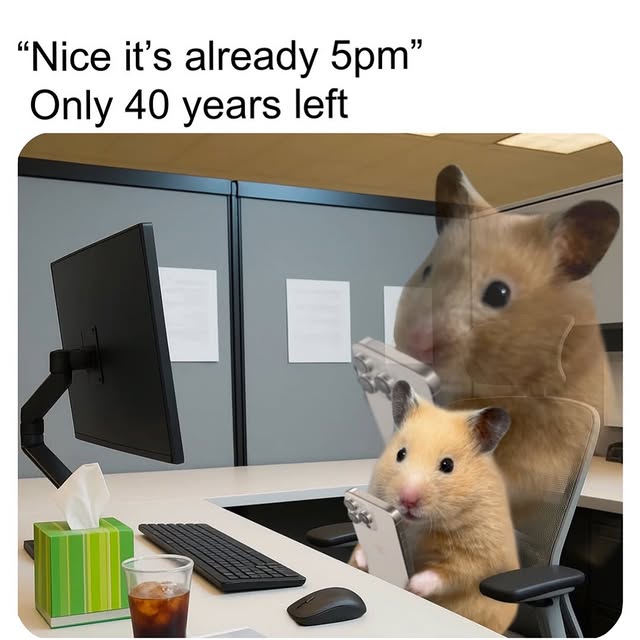  .........edstruggle   'recent posts' 