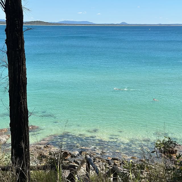  .....ecody   'recent posts' 