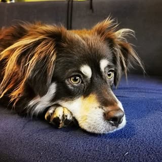 Hire .....og2020 influencer with 4.8k