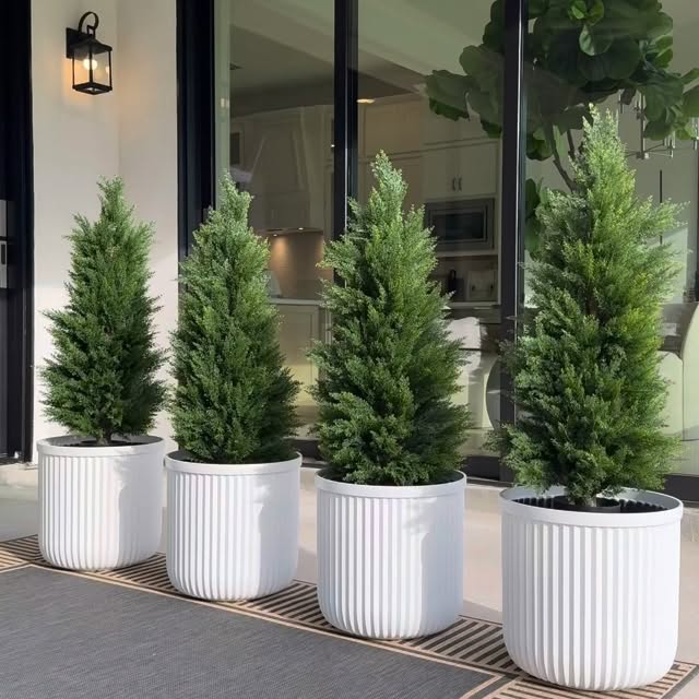  .......nippets   'recent posts' 