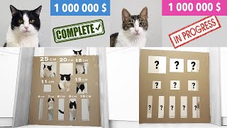  ....usic  'recent videos' 