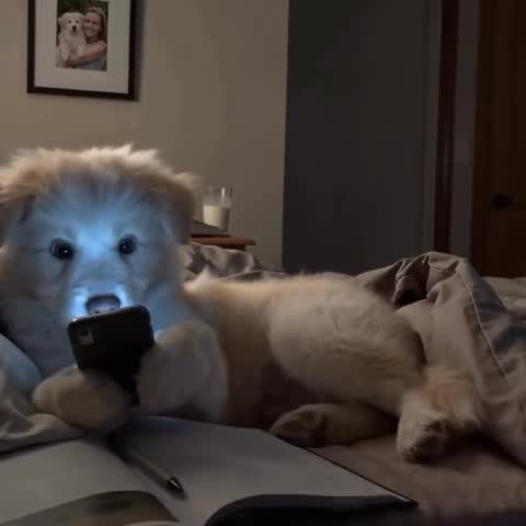  ......orable   'recent posts' 