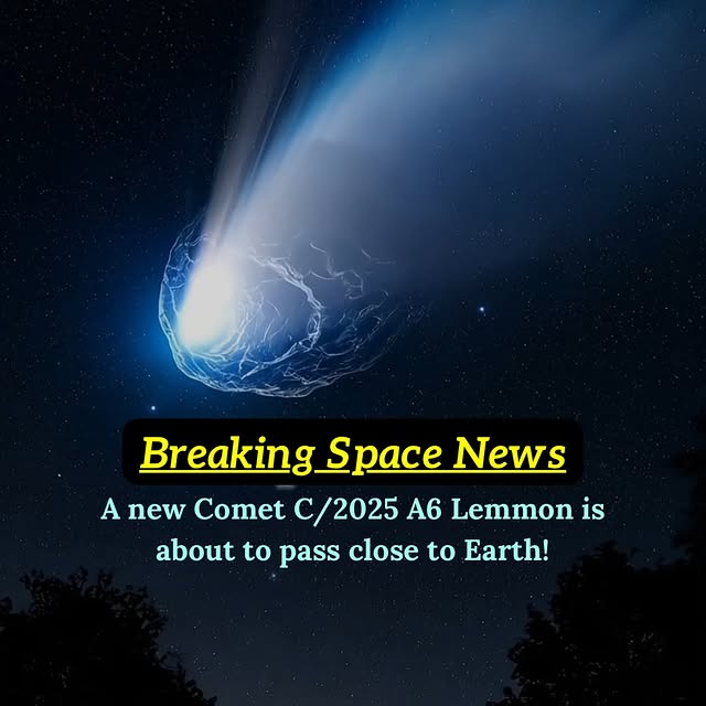  .......ciencex   'recent posts' 