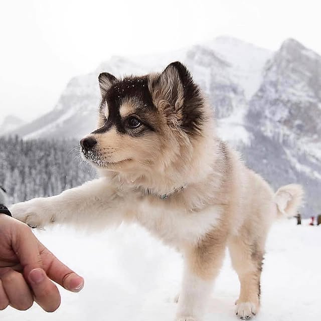  ...........photography   'recent posts' 