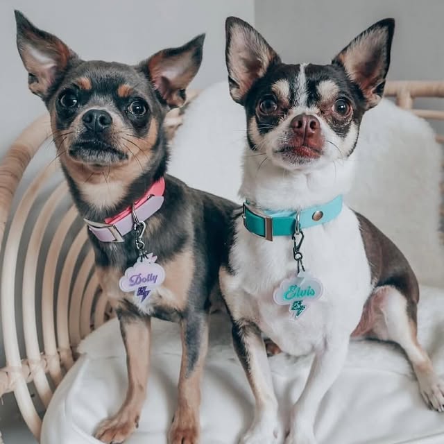  ...........es_promoter   'recent posts' 