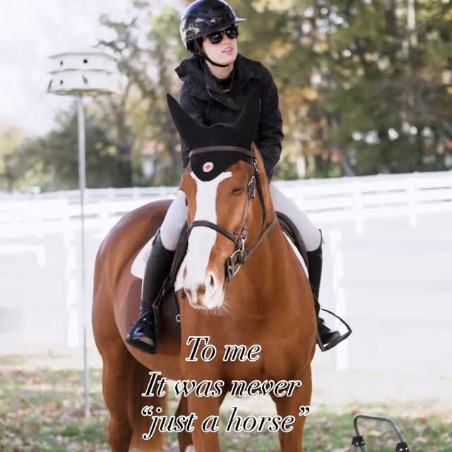  .....hulse   'recent posts' 