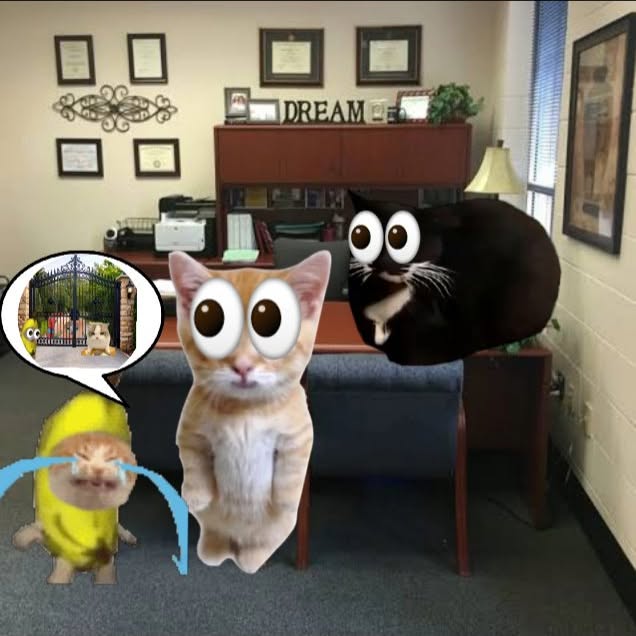  ......anacat   'recent posts' 