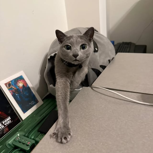  ......n_boris   'recent posts' 