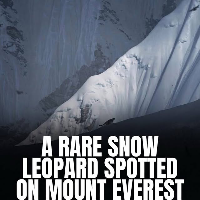  ......sfervor   'recent posts' 