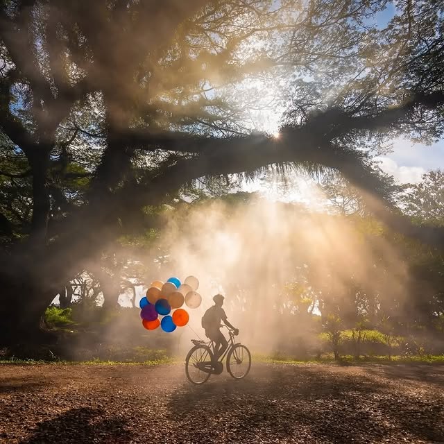  ..........discoverer   'recent posts' 