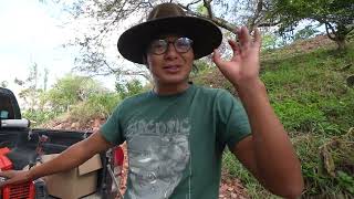  ....a Pit  'recent videos' 