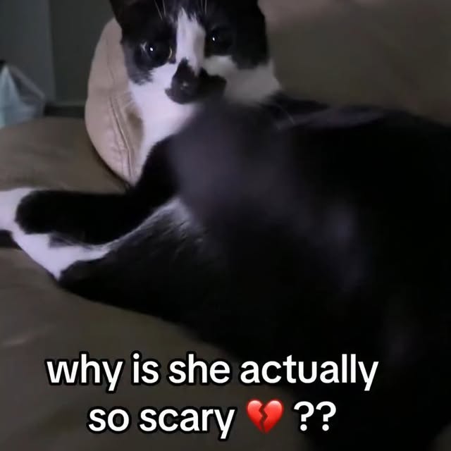  .....li9ht   'recent posts' 