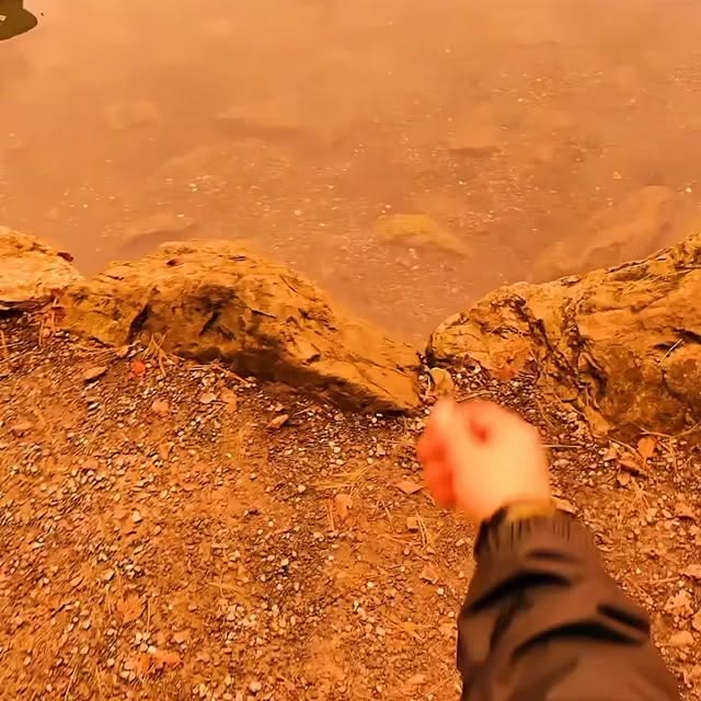  .......ureworld   'recent posts' 