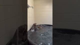  .....rthTv  'recent videos' 