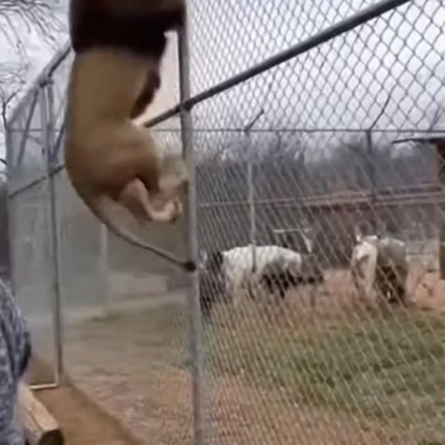  .....nly.ai   'recent posts' 