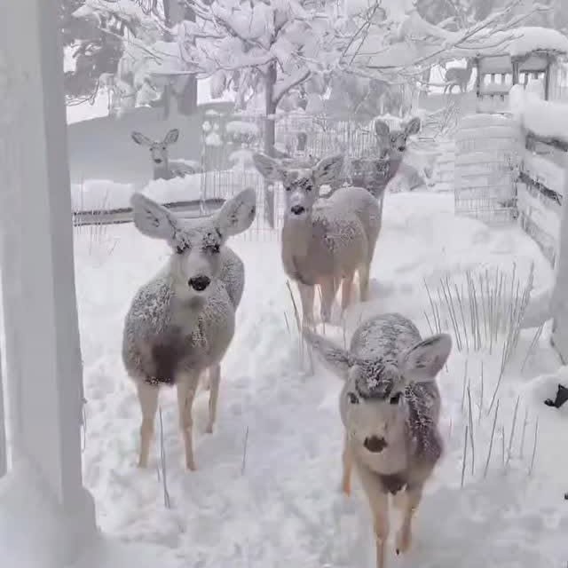  ......entpix   'recent posts' 