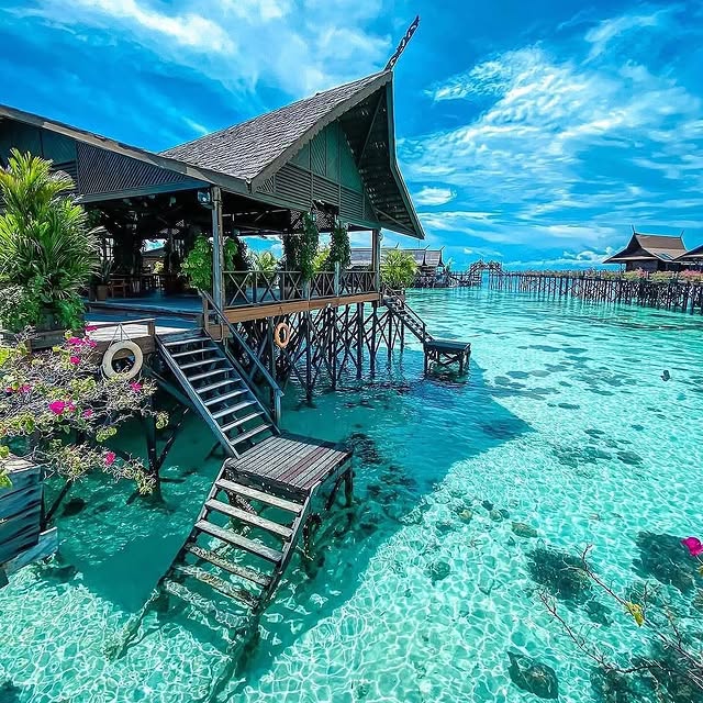  .....fever   'recent posts' 