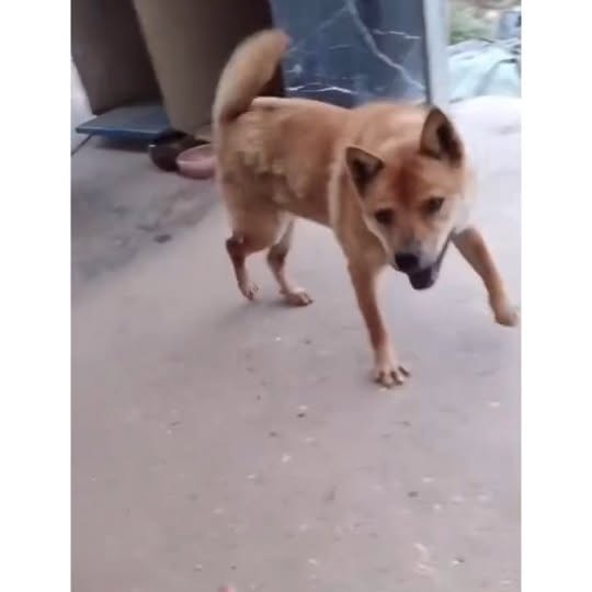  .....ibess   'recent posts' 