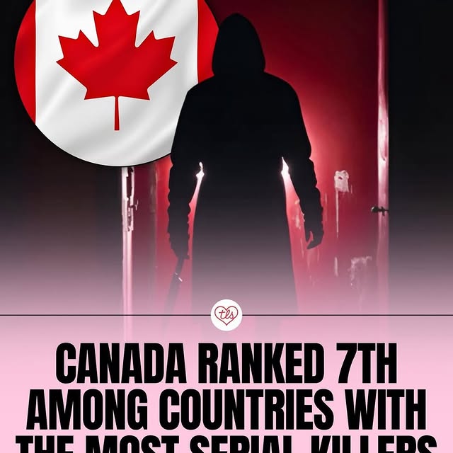  .....vid.s   'recent posts' 