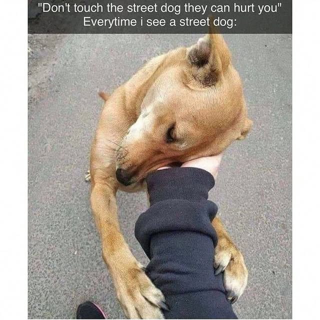  .......ndrulzz   'recent posts' 