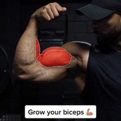  ......ruzfit   'recent posts' 